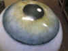 005_lavazza.jpg (314122 byte)